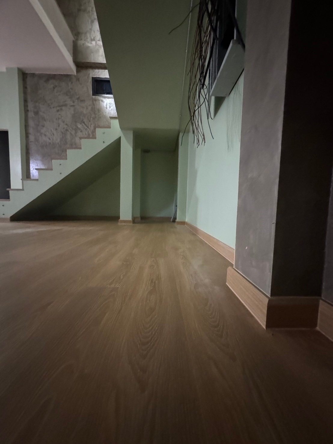 SPC-Cotto ลิตเติ้ล