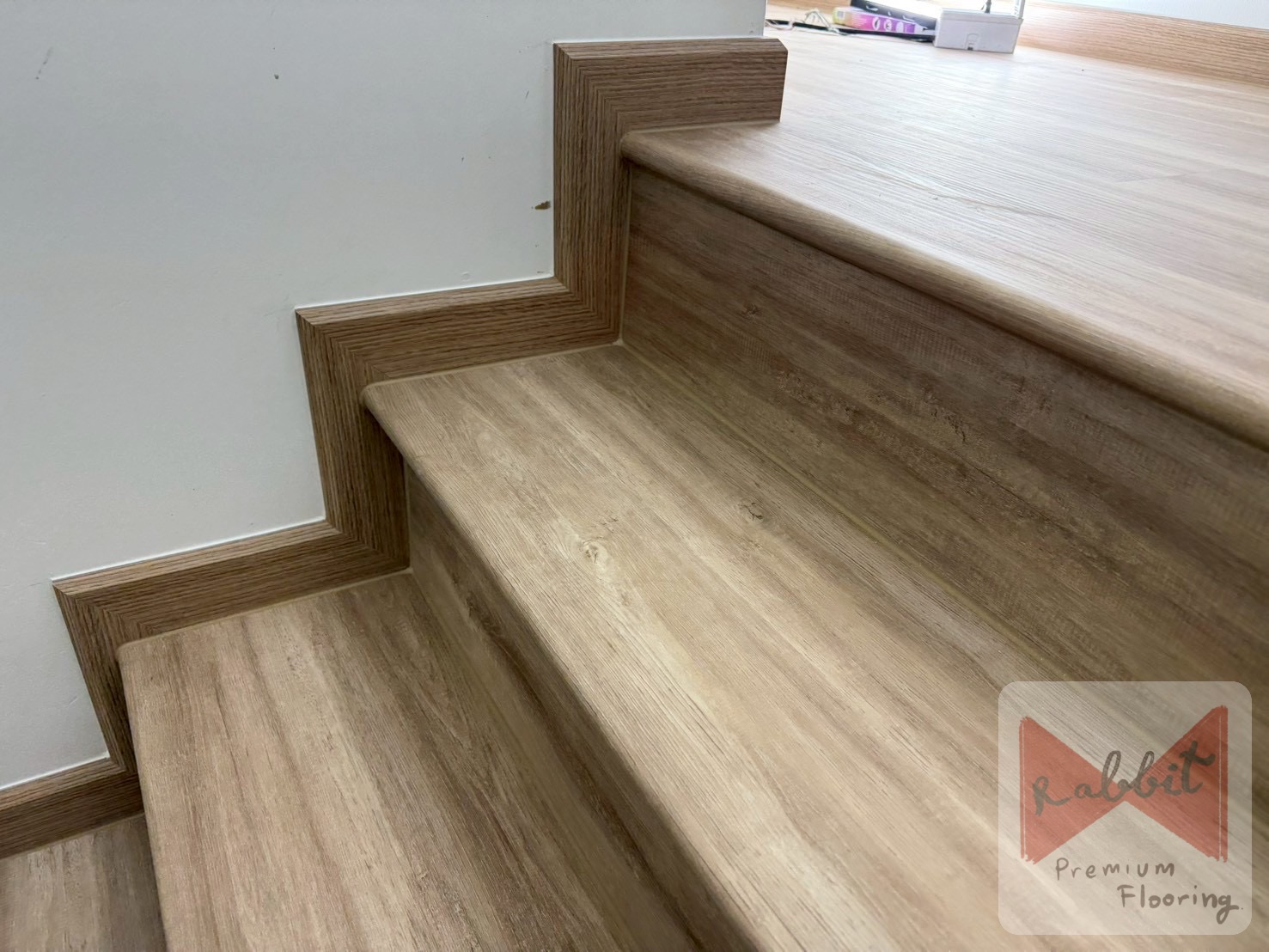 SPC-Cotto โลเซีย