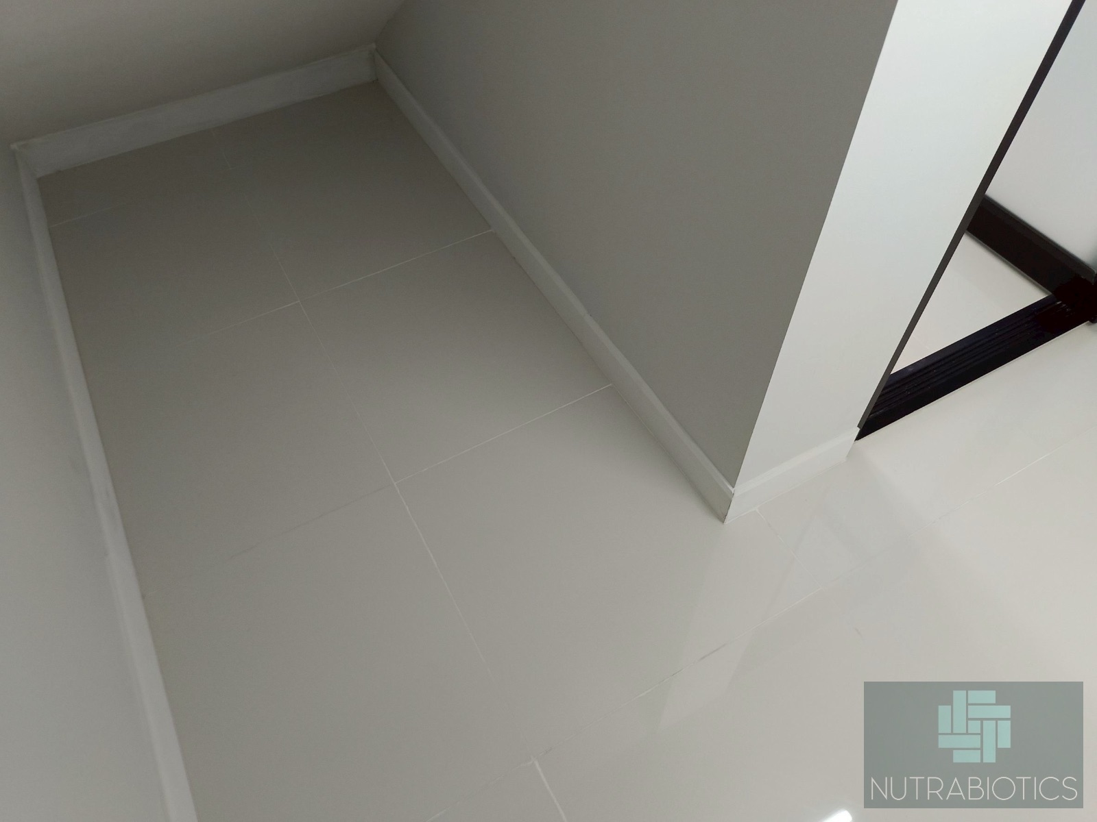 SPC-Rabbit ก้างปลา ลาเต้1