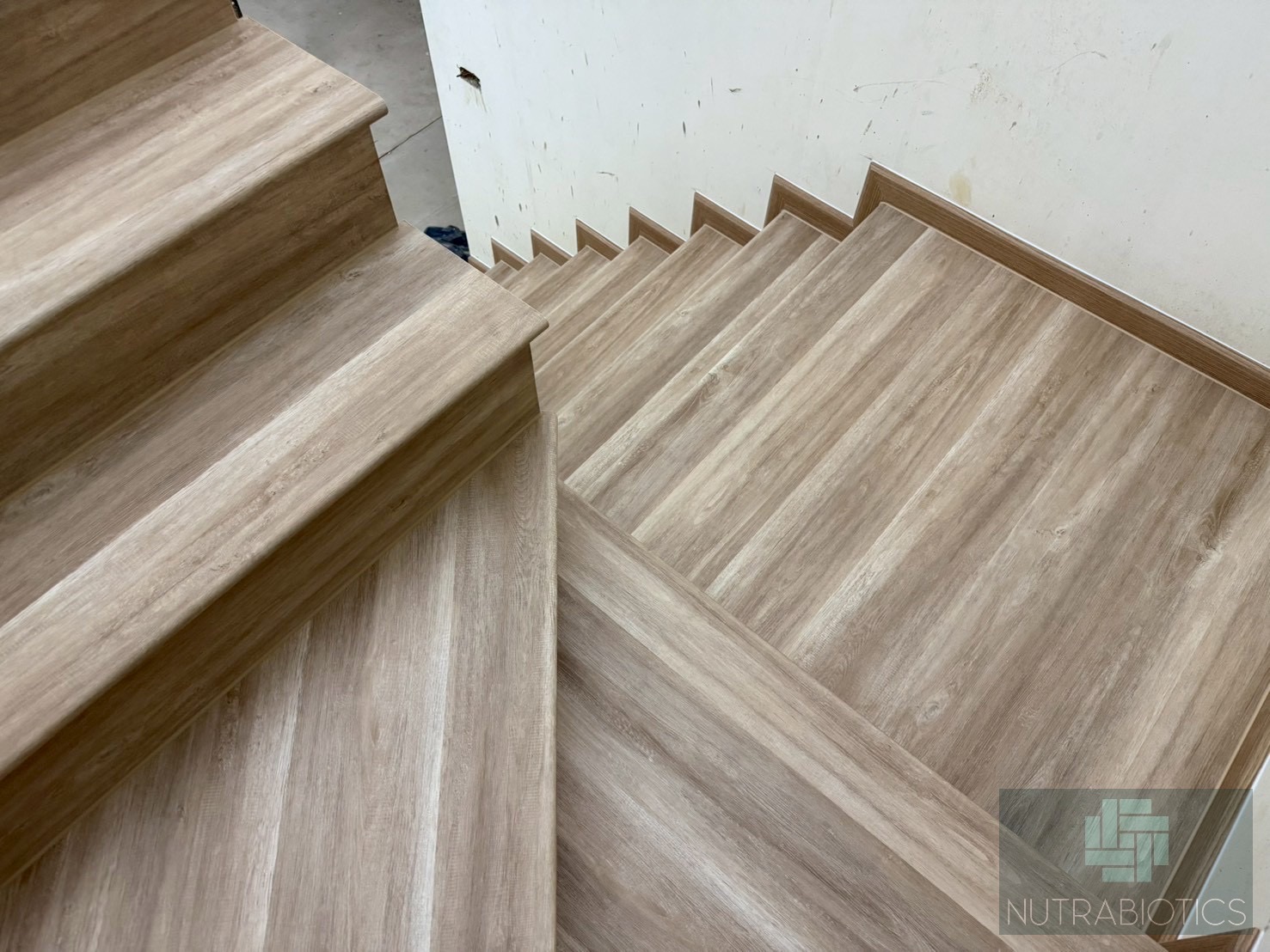 SPC-Rabbit ดัลโกน่า