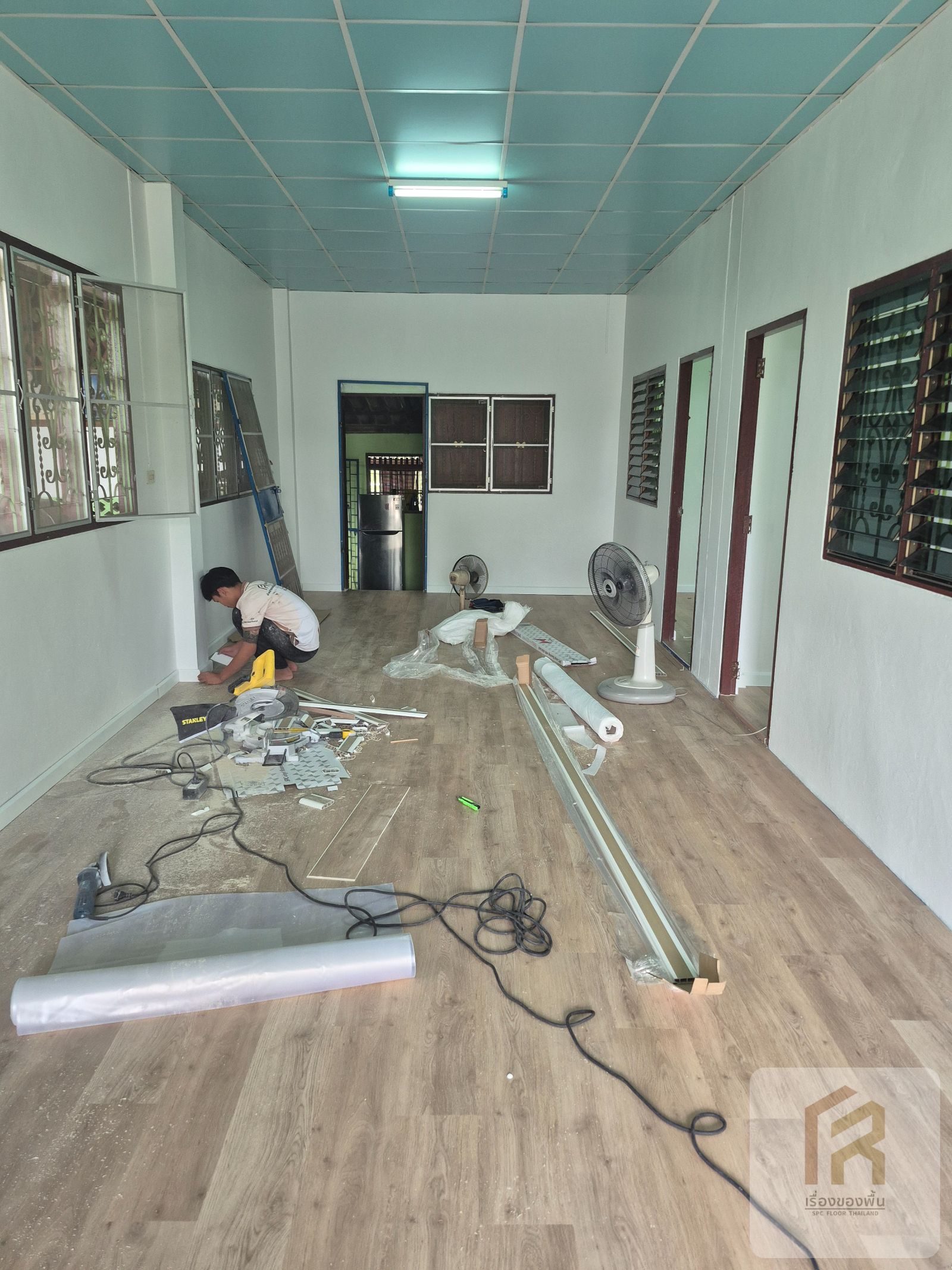 SPC-Rabbit ดาร์จิลิง