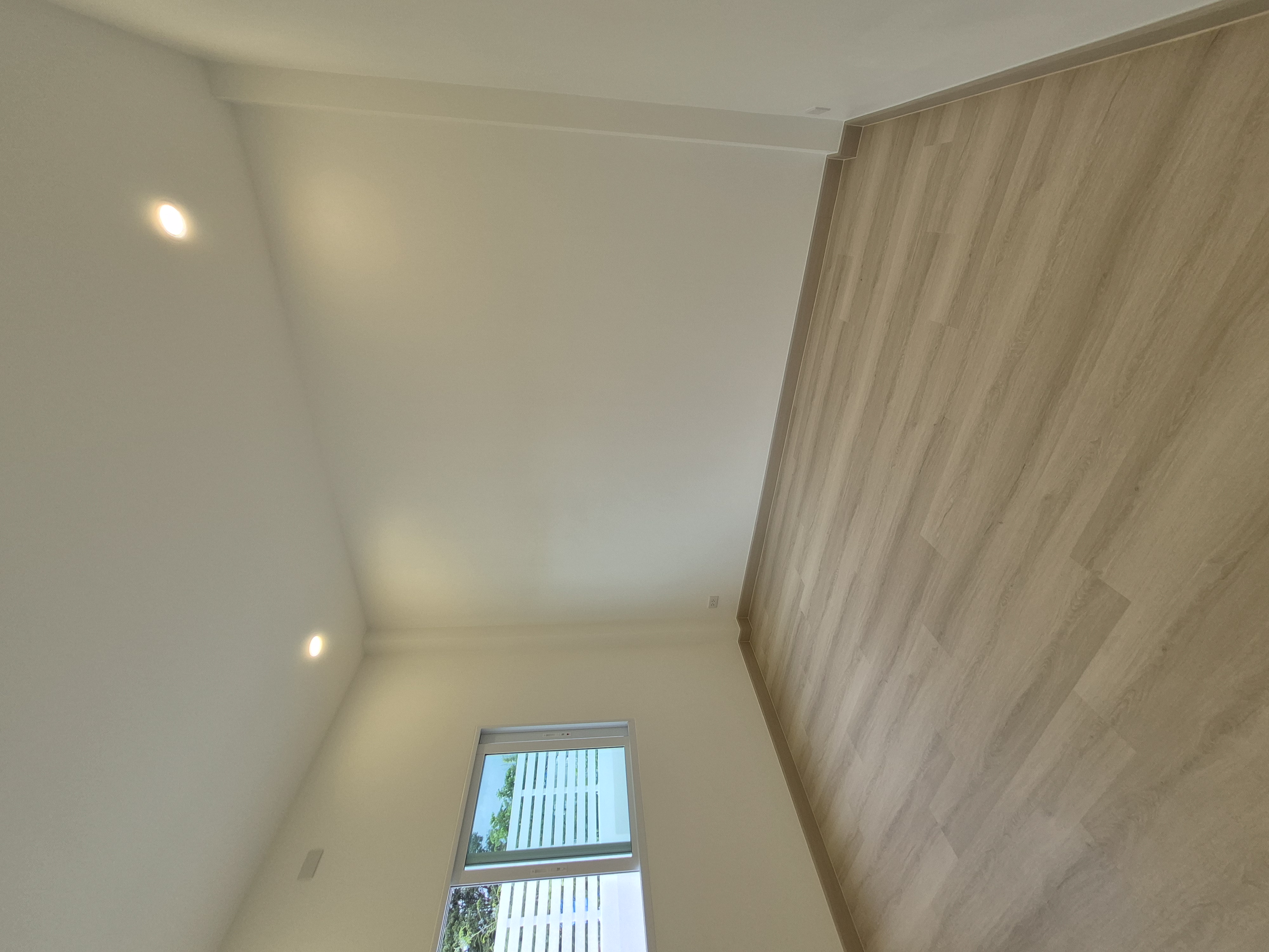 SPC-Rabbit มอคค่า