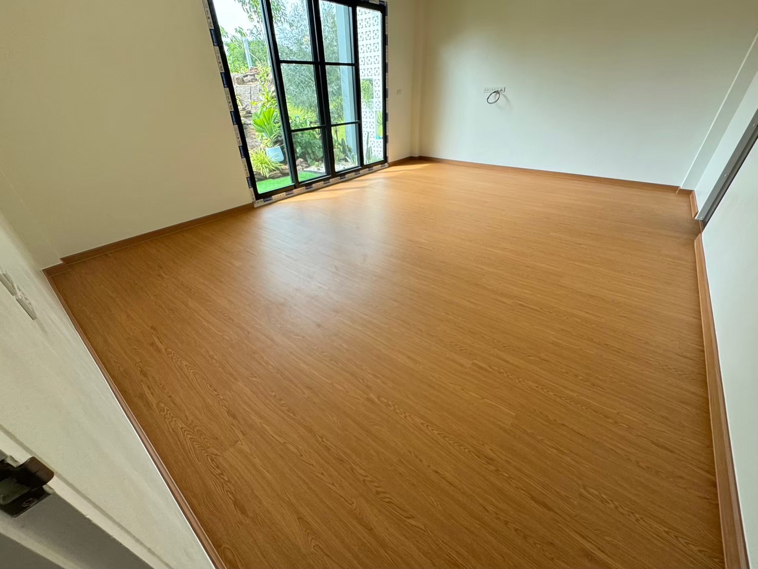 SPC-Rabbit อัสสัมที