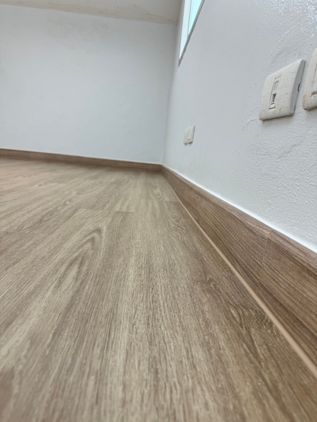 SPC-Rabbit เคียอาโร